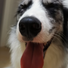 /a93ca7a9-e069-4165-af8b-f4463f2a26f0/1024-1365_hu_6b5de17fd36cd3c3.png